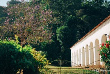 Descubra a Rota Verde do Café, um passeio saindo de Fortaleza