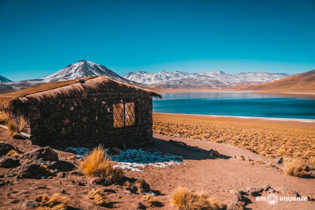 Lagunas Altiplânicas - Atacama, Chile