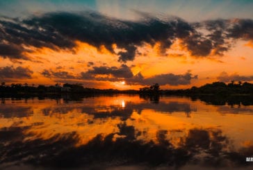 Viagem para a Amazônia no período de cheia: a época mais linda da Amazônia brasileira