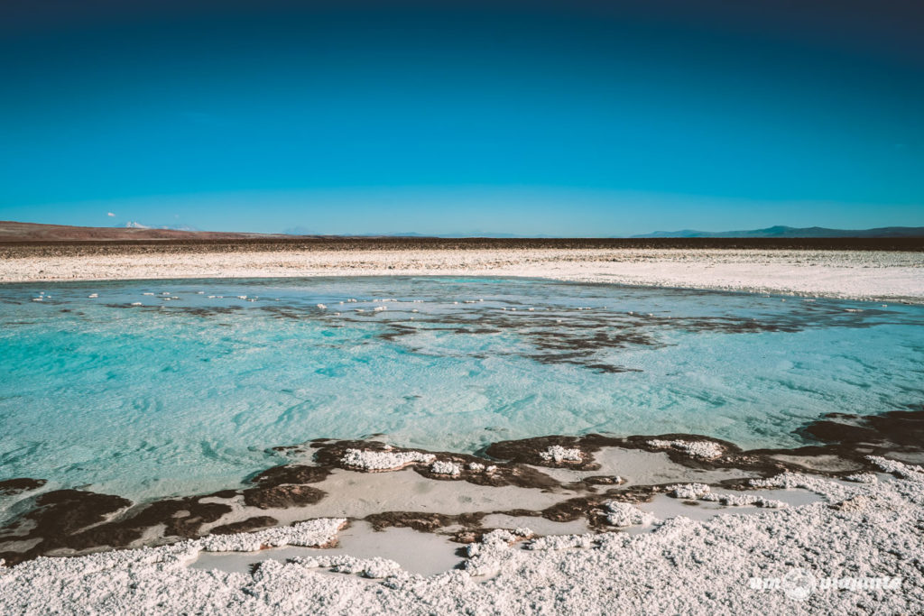 Lagunas Escondidas de Baltinache, no Deserto do Atacama | Foto: Robson Franzói @blogumviajante