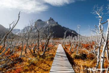 Trekking W Torres del Paine: Roteiro 5 dias com agência e guia