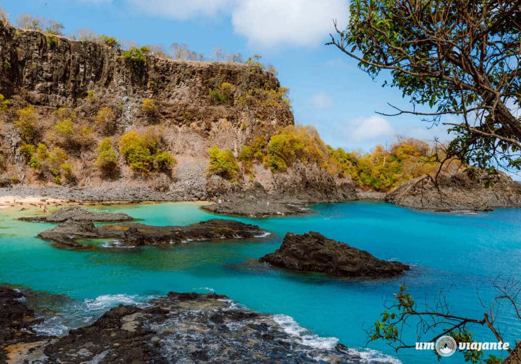 Baia dos Porcos e Taxas de Noronha: quanto custa?