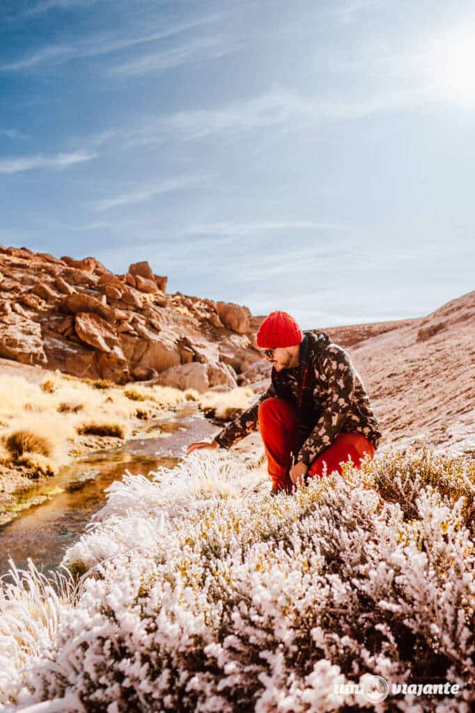 Geyser Blanco, Deserto do Atacama