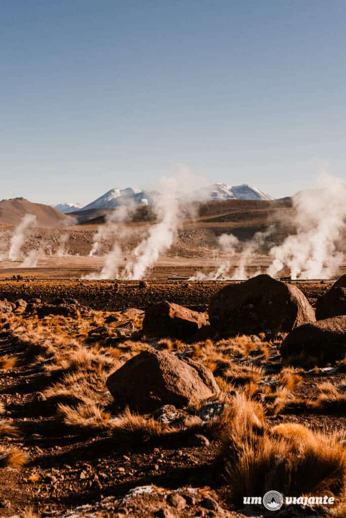 Geyser El Tatio: passeio imperdível roteiro Atacama