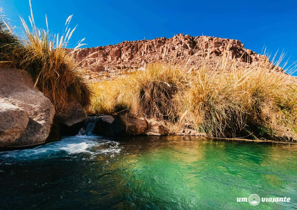 Termas de Puritama Deserto do Atacama - Roteiro 5 dias